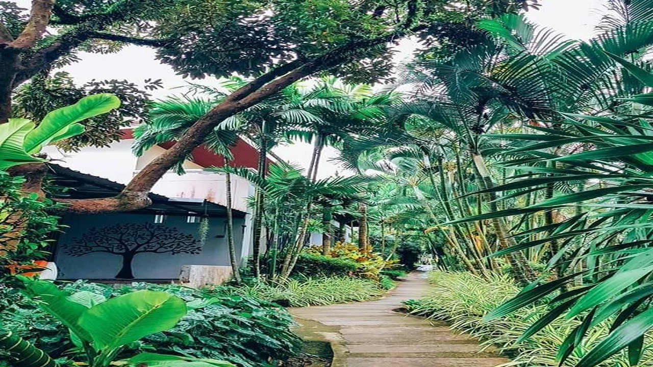 Photo of Outdoor in Pak Nam