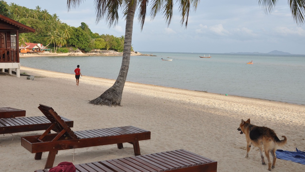 Photo of Others in Baan Tai