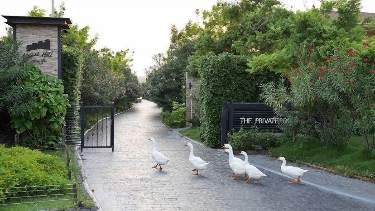Photo of Outdoor in Nong Sarai