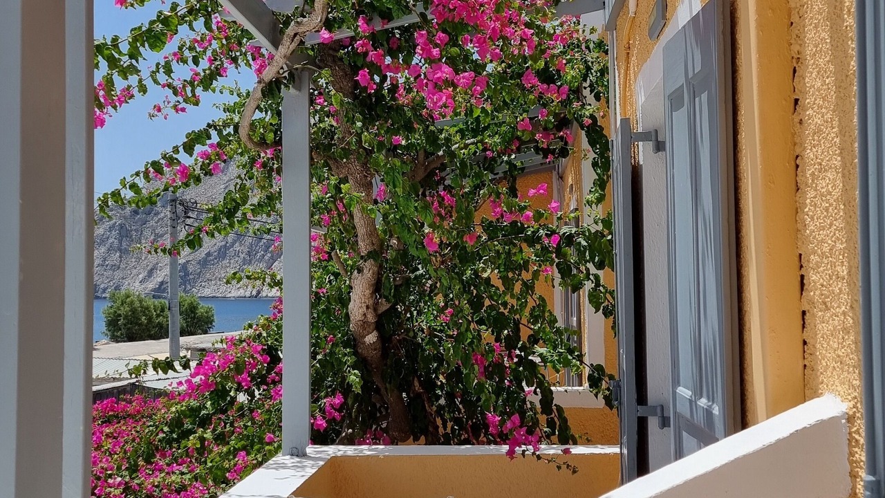 Photo of Outdoor in Kamari