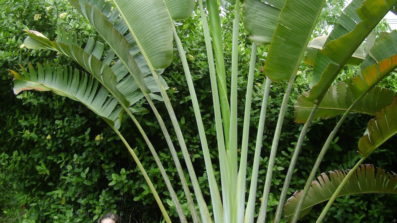 Photo of Outdoor in Sa Khu