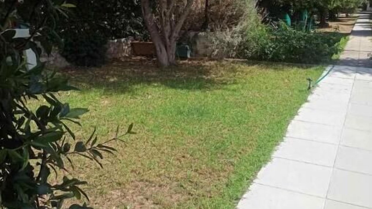 Photo of Outdoor in Rio