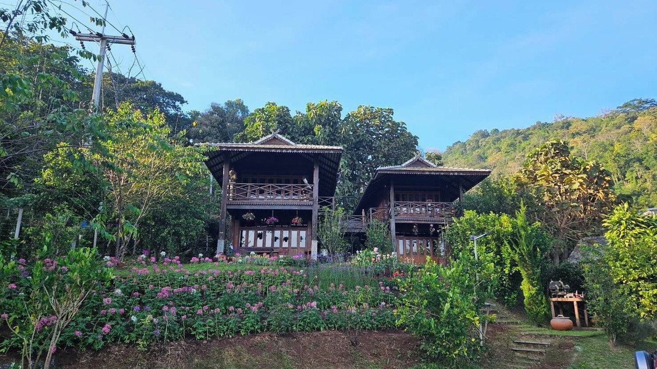 Photo of Outdoor in Pong Yaeng