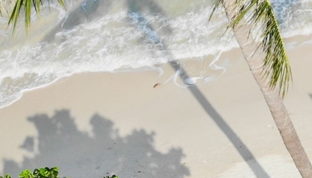 Photo of Others in Baan Tai