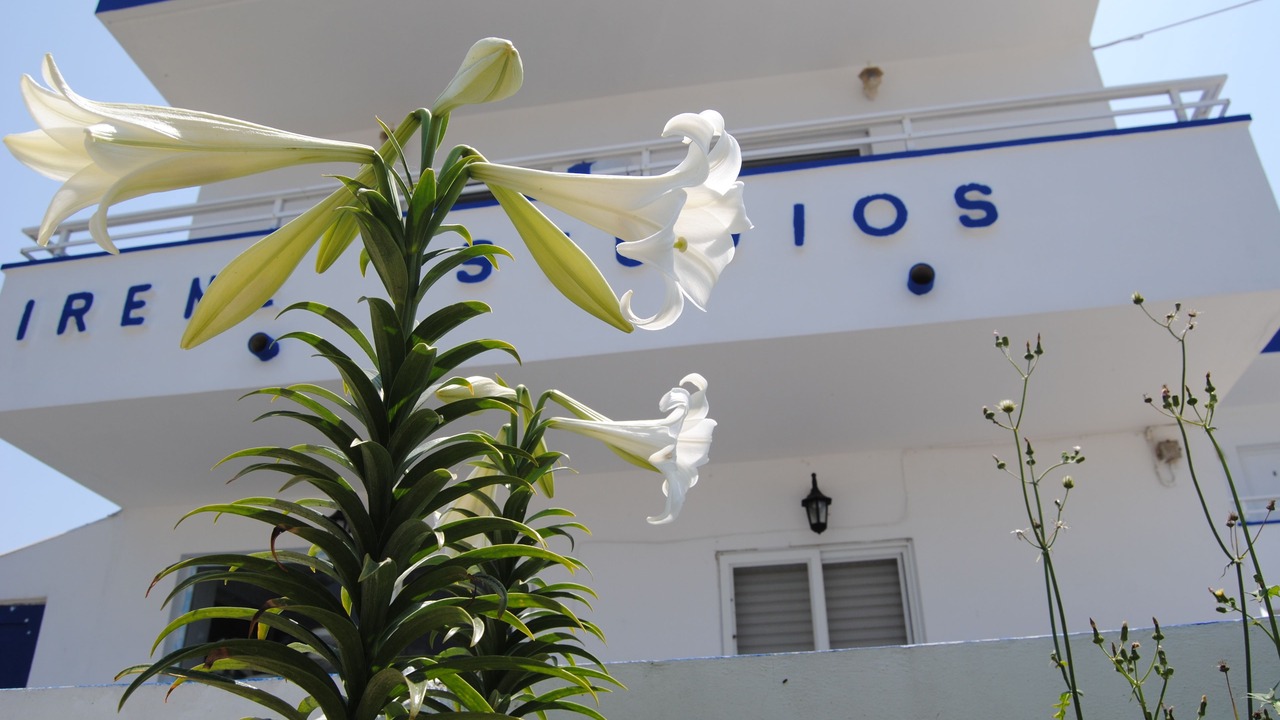 Photo of Outdoor in Kefalos