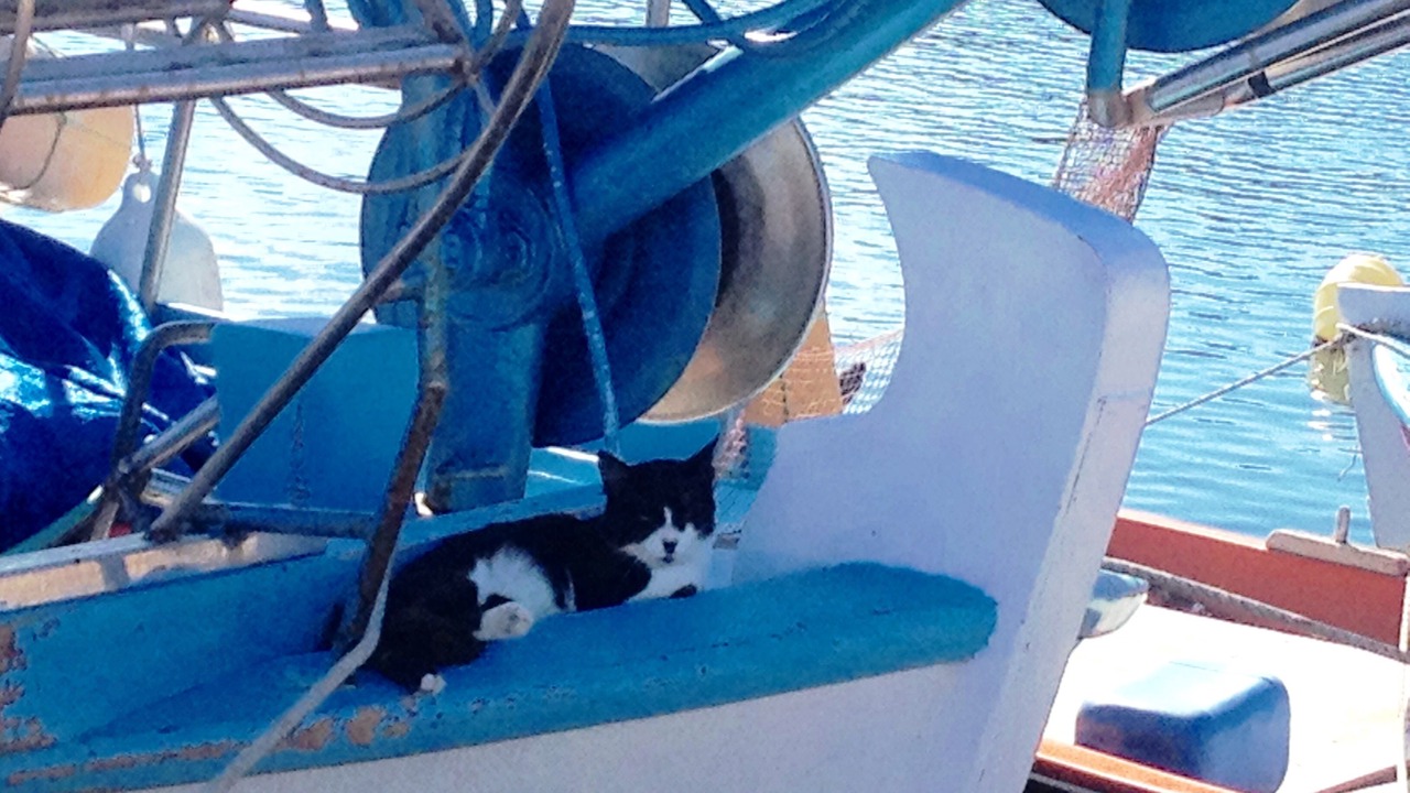 Photo of Outdoor in Skala Neon Kidonion