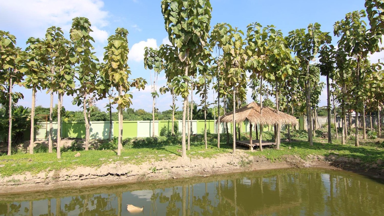Photo of Outdoor in San Sai
