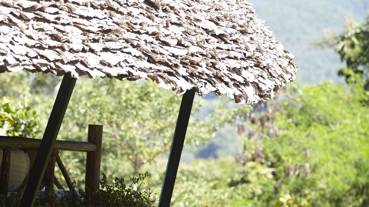 Photo of Others in Pai