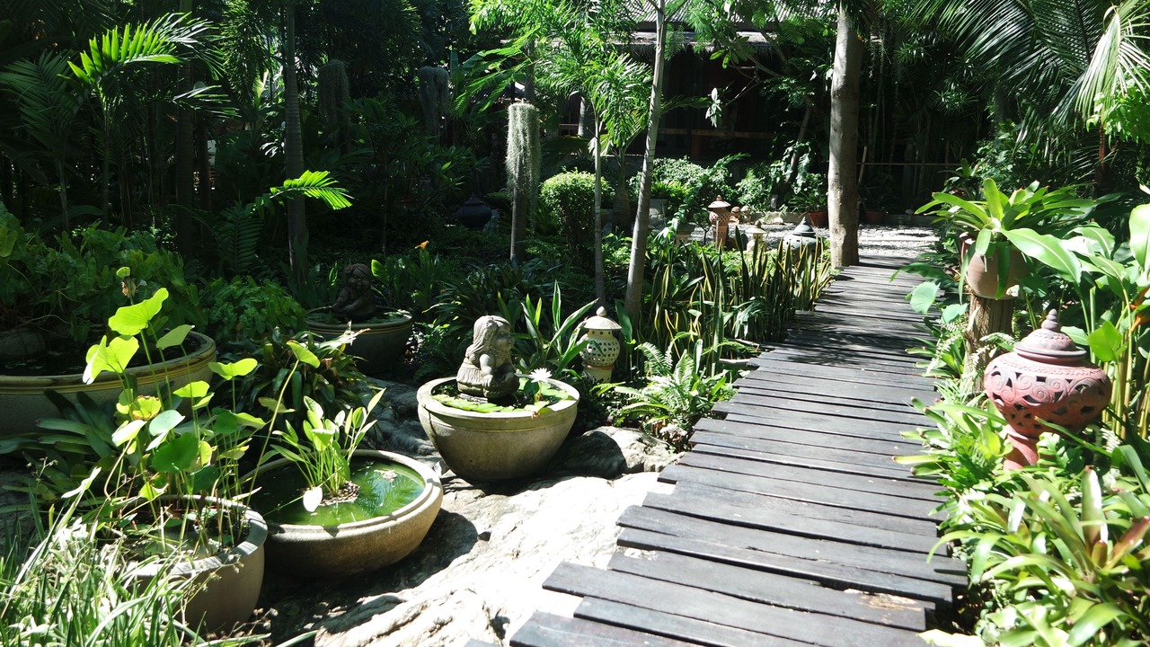 Photo of Outdoor in Ang Sila