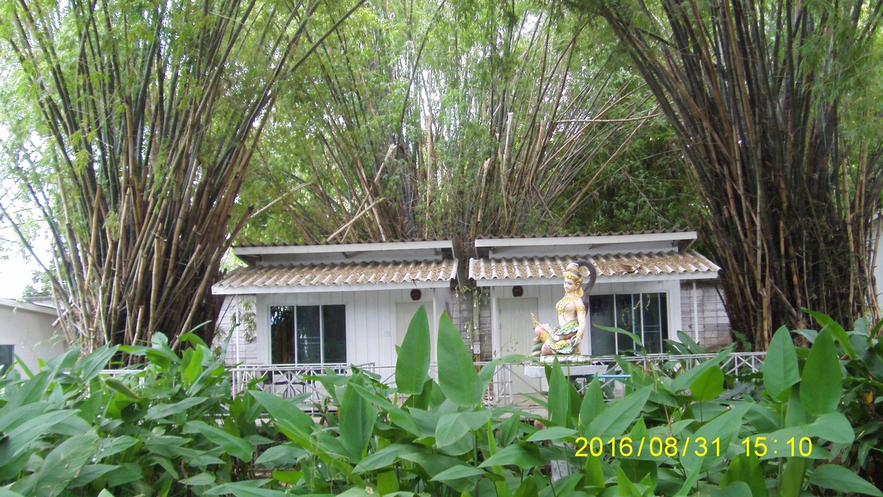 Photo of Others in Kanchanaburi