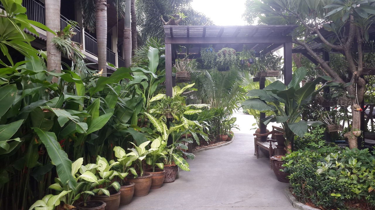 Photo of Outdoor in Lamai City Center