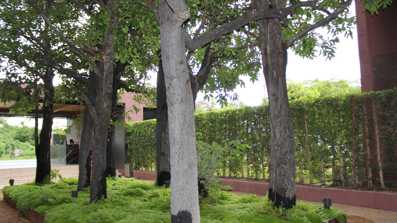 Photo of Outdoor in Kanchanaburi