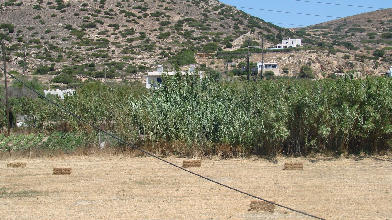 Photo of Others in Galissas