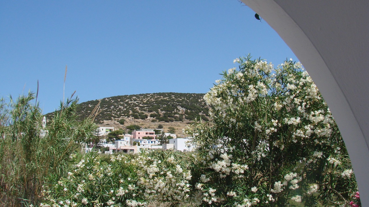 Photo of Others in Galissas