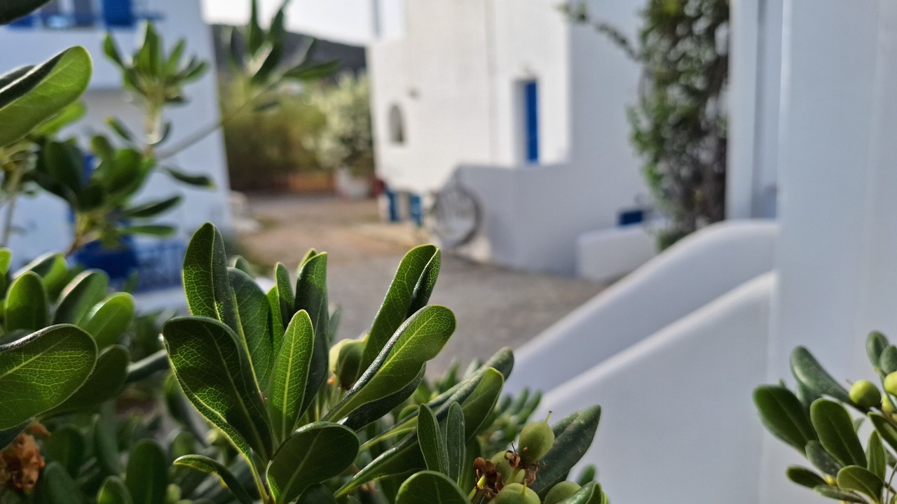 Photo of Patio Balcony in Galissas