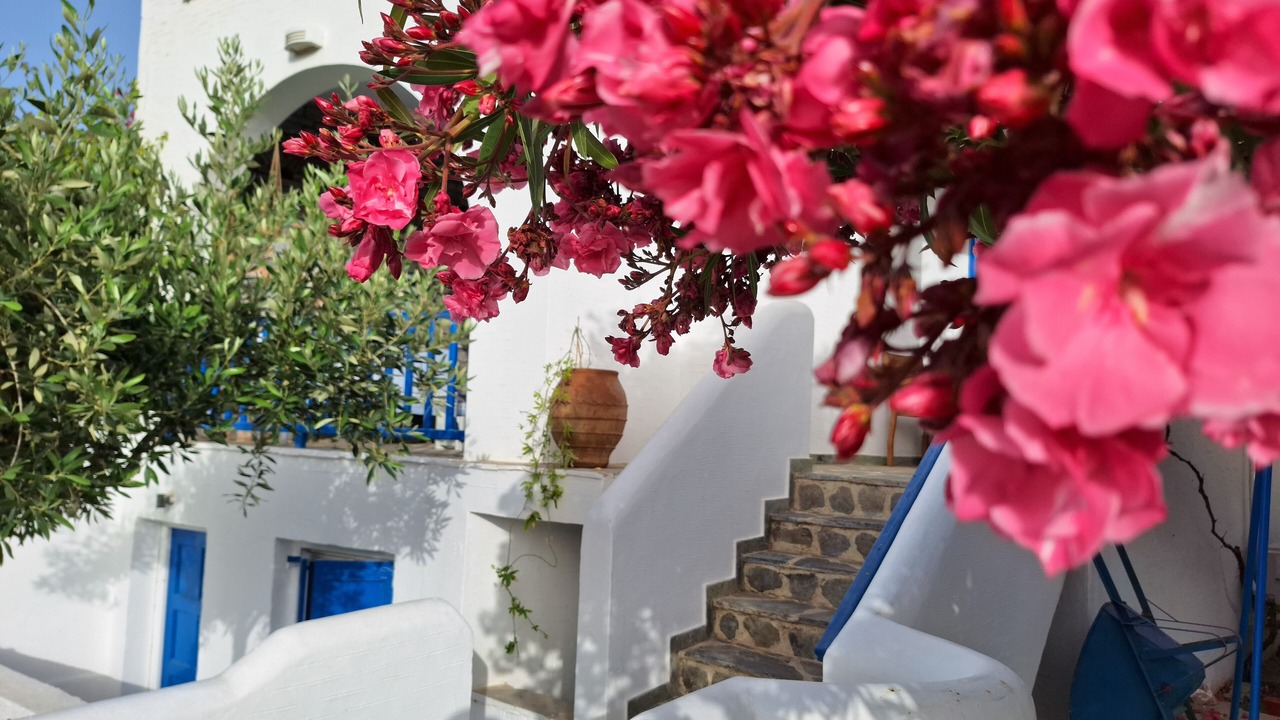 Photo of Patio Balcony in Galissas