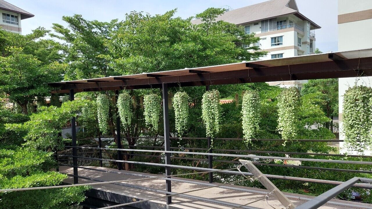 Photo of Outdoor in Chonburi