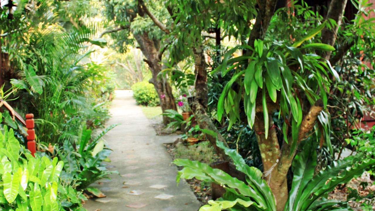Photo of Outdoor in Bang Khonthi