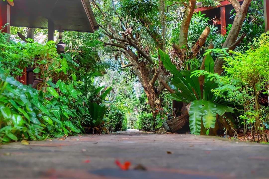 Photo of Outdoor in Bang Khonthi
