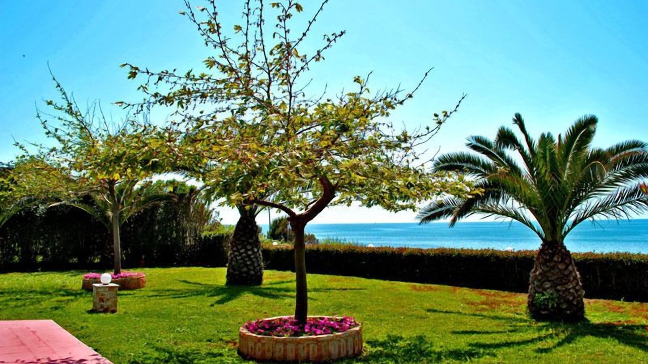 Photo of Outdoor in Mytikas