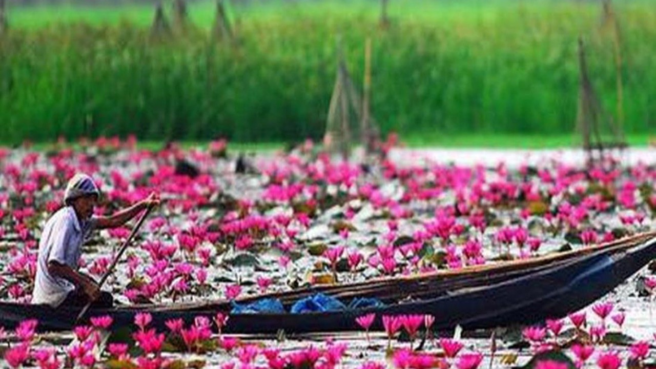 Photo of Outdoor in Nakhon Sawan