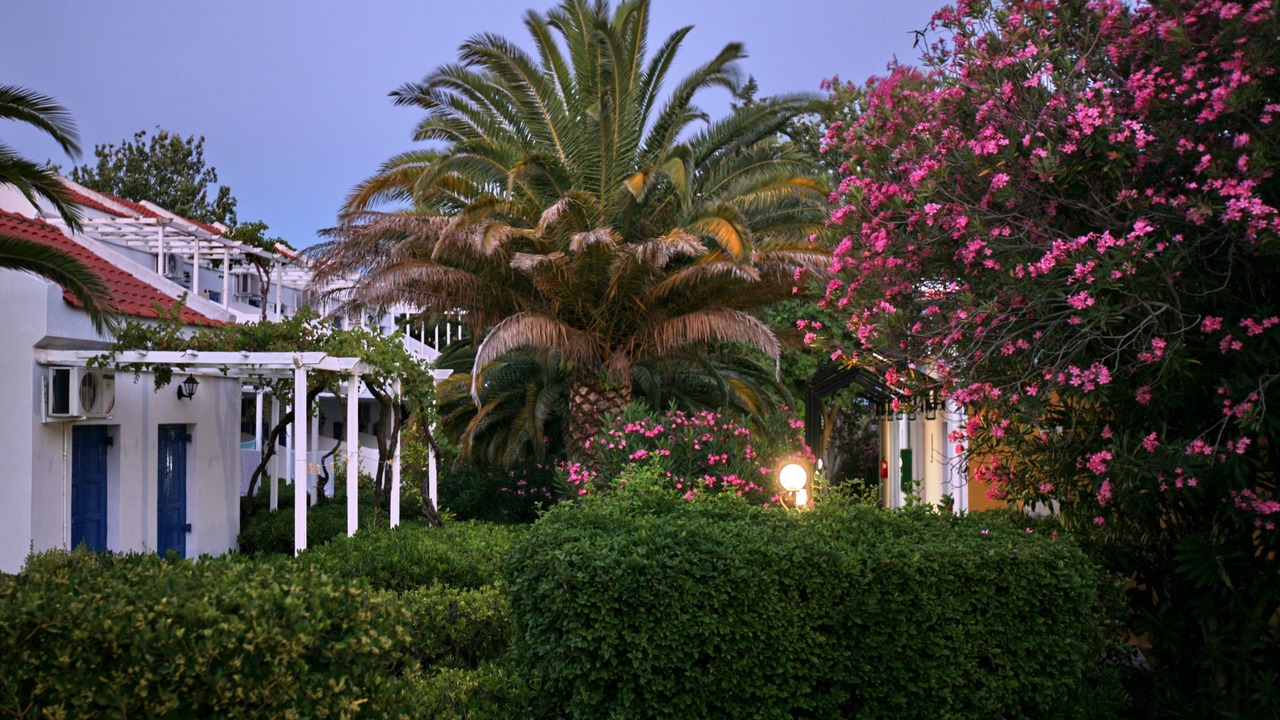Photo of Outdoor in Skala Kallonis
