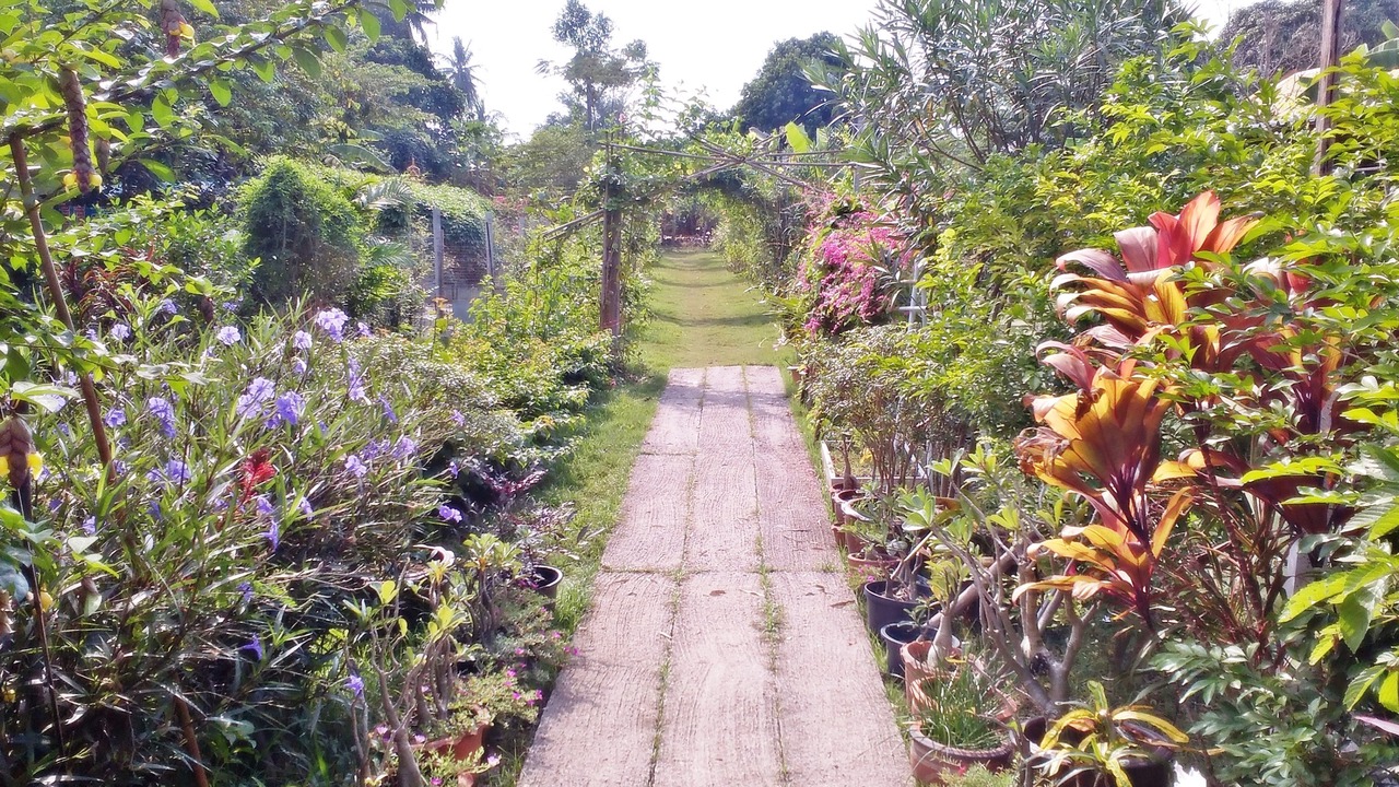 Photo of Outdoor in Amphawa