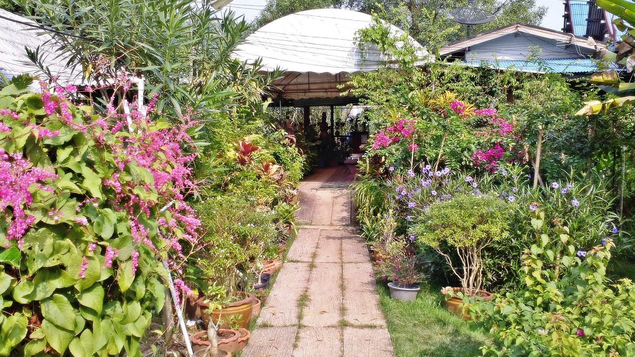 Photo of Outdoor in Amphawa