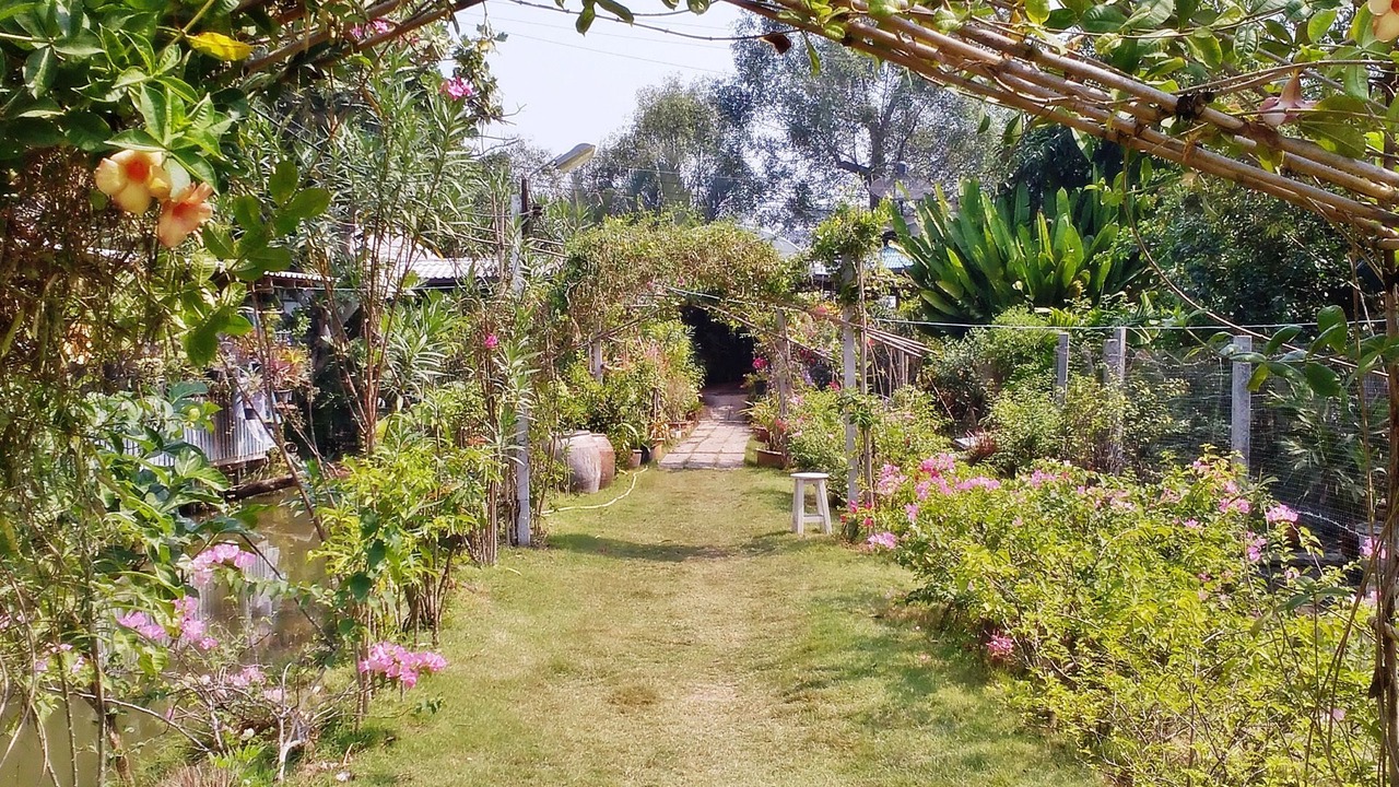 Photo of Outdoor in Amphawa