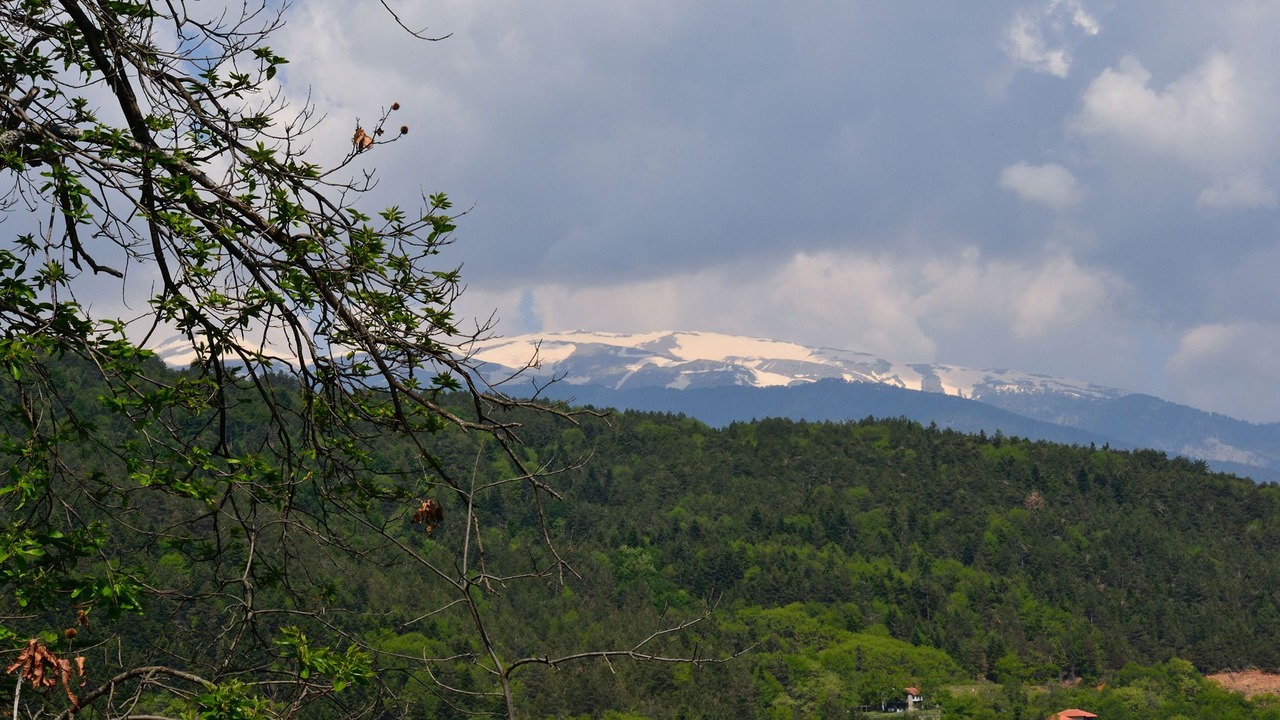 Photo of Others in Skotina