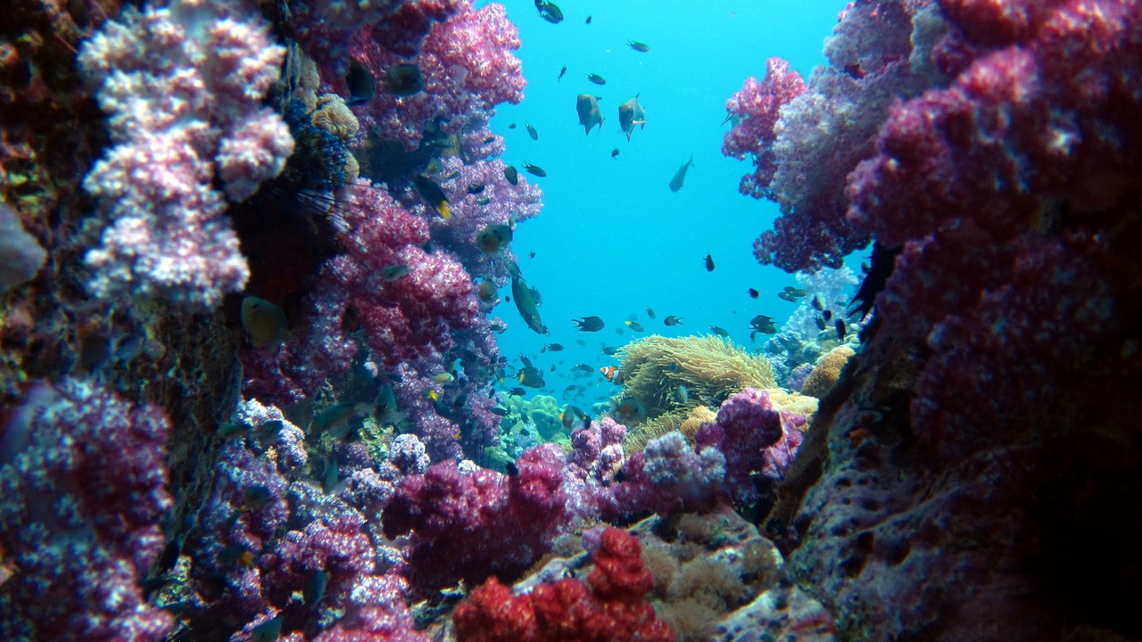 Photo of Others in Satun