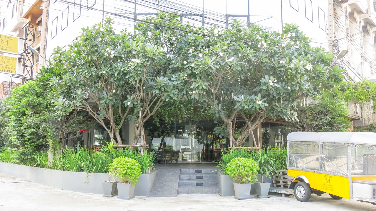 Photo of Outdoor in Makkasan