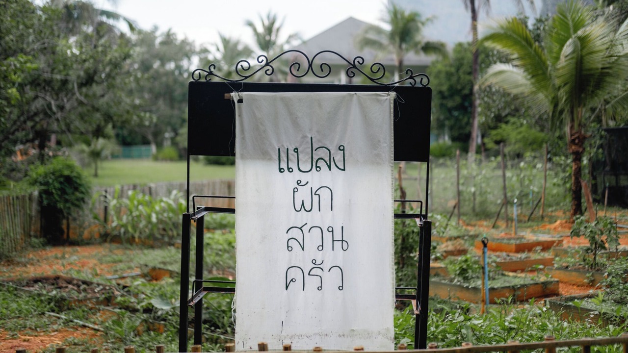 Photo of Others in Ban Thung