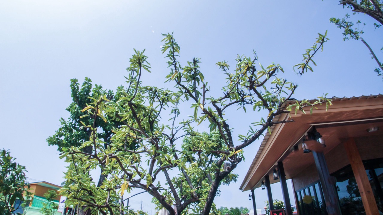 Photo of Outdoor in Nakhon Ratchasima