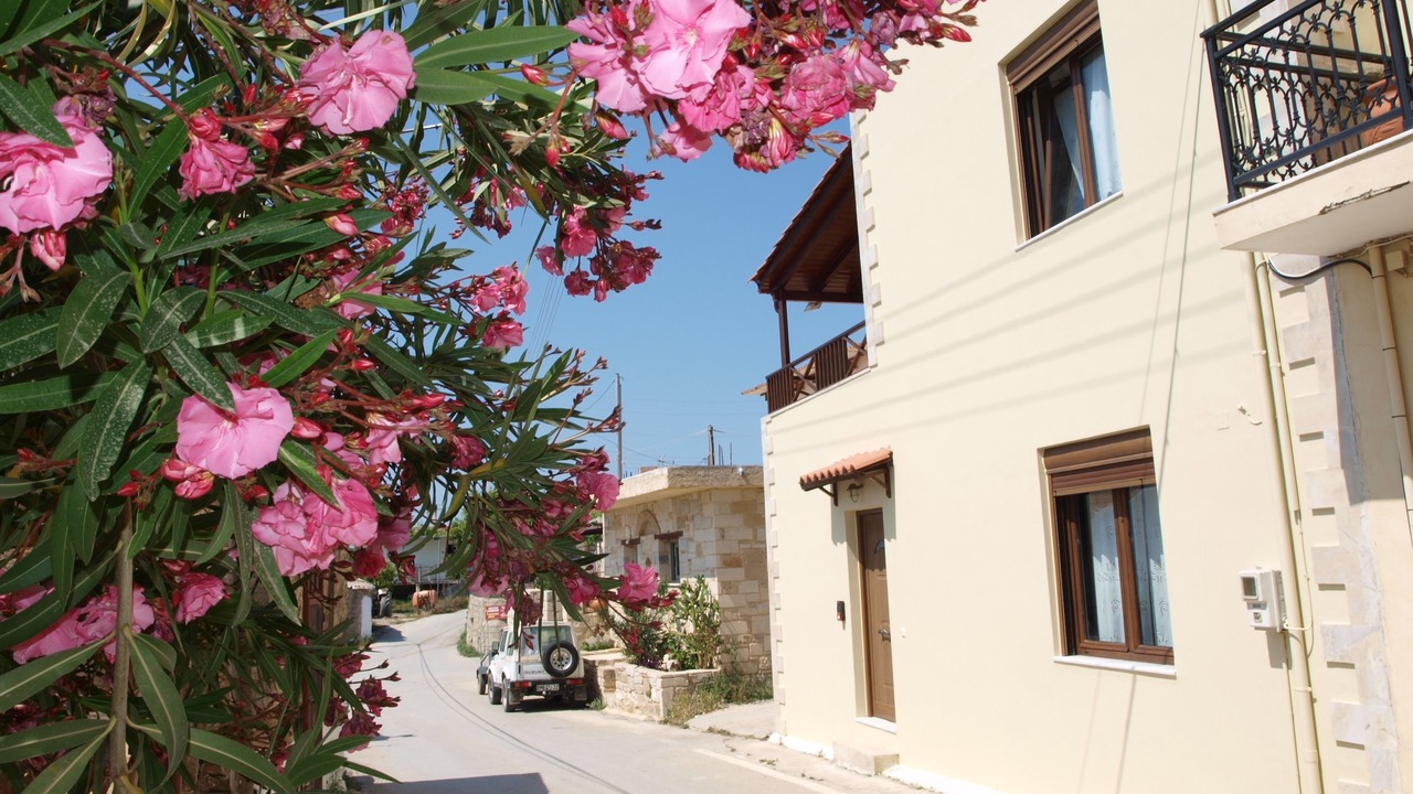 Photo of Outdoor in Kolymbari