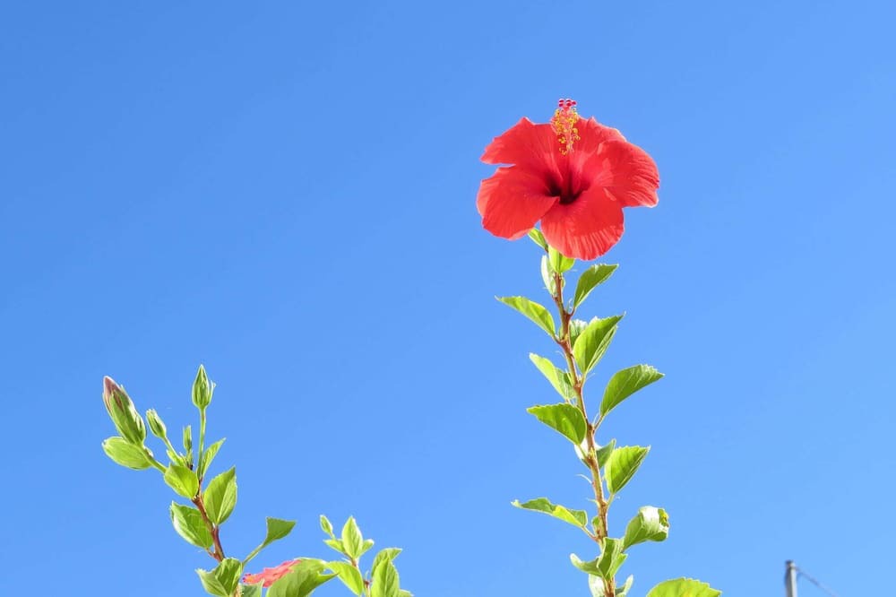 Photo of Outdoor in Makry Gialos