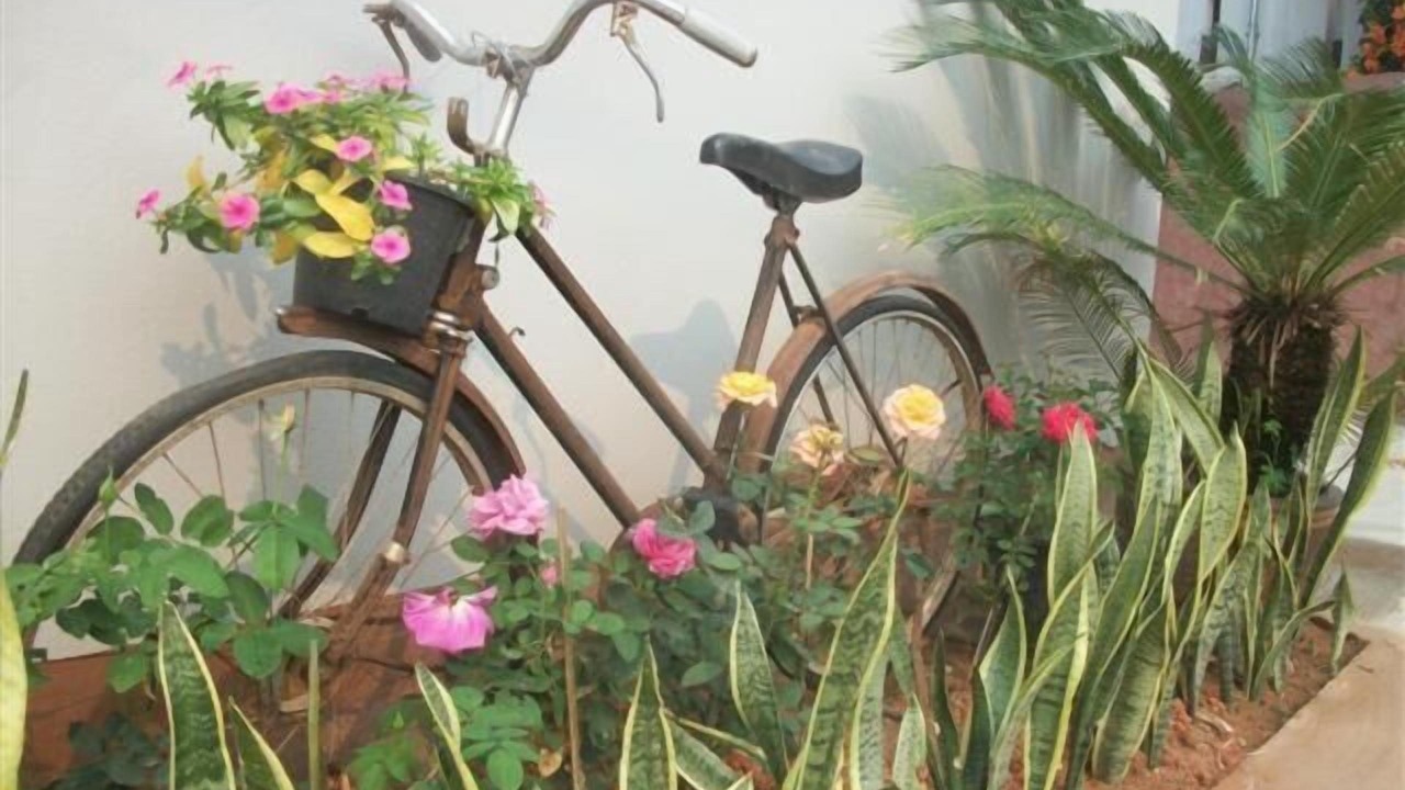 Photo of Outdoor in Chiang Rai