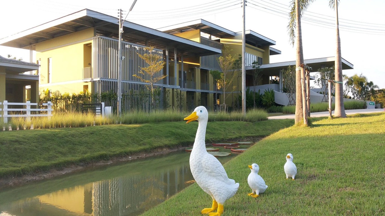 Photo of Outdoor in San Sai