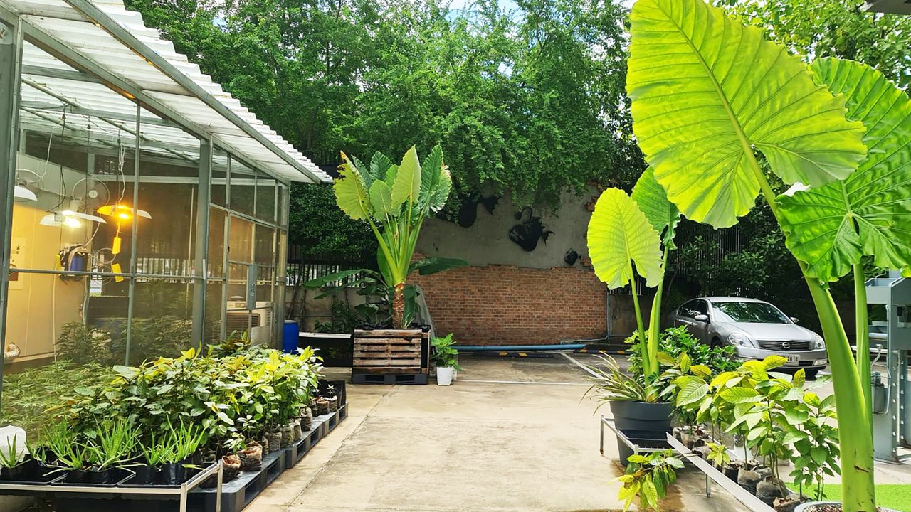 Photo of Outdoor in Chatuchak