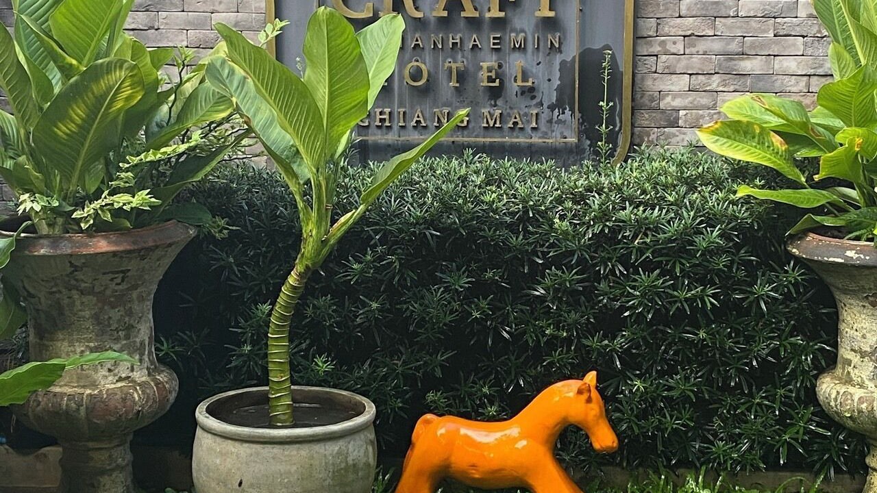 Photo of Outdoor in Nimman