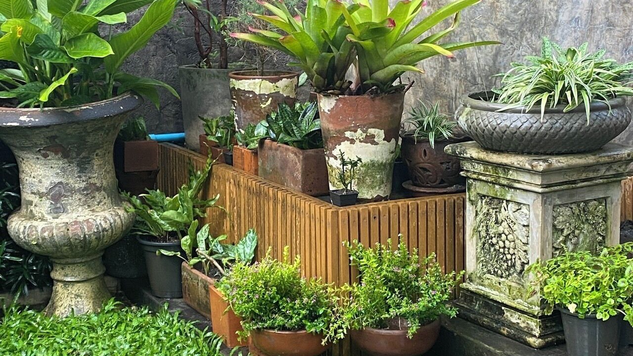 Photo of Outdoor in Nimman