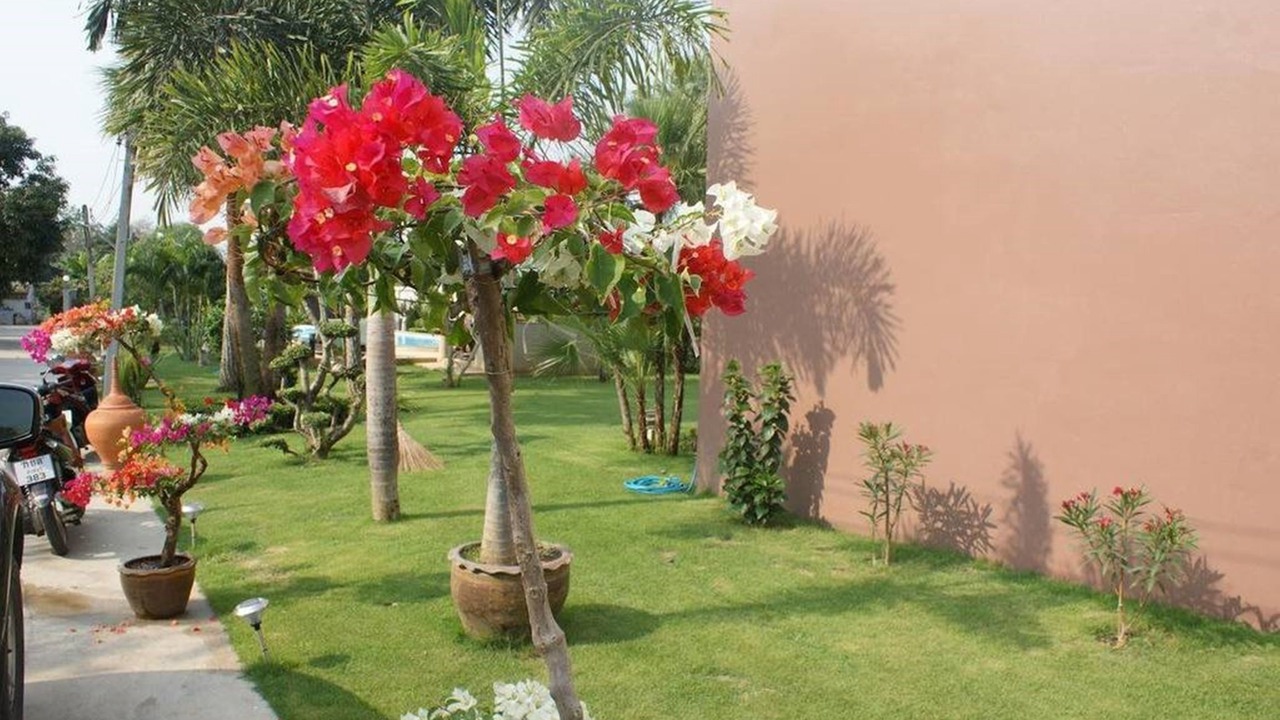 Photo of Outdoor in Sing Buri