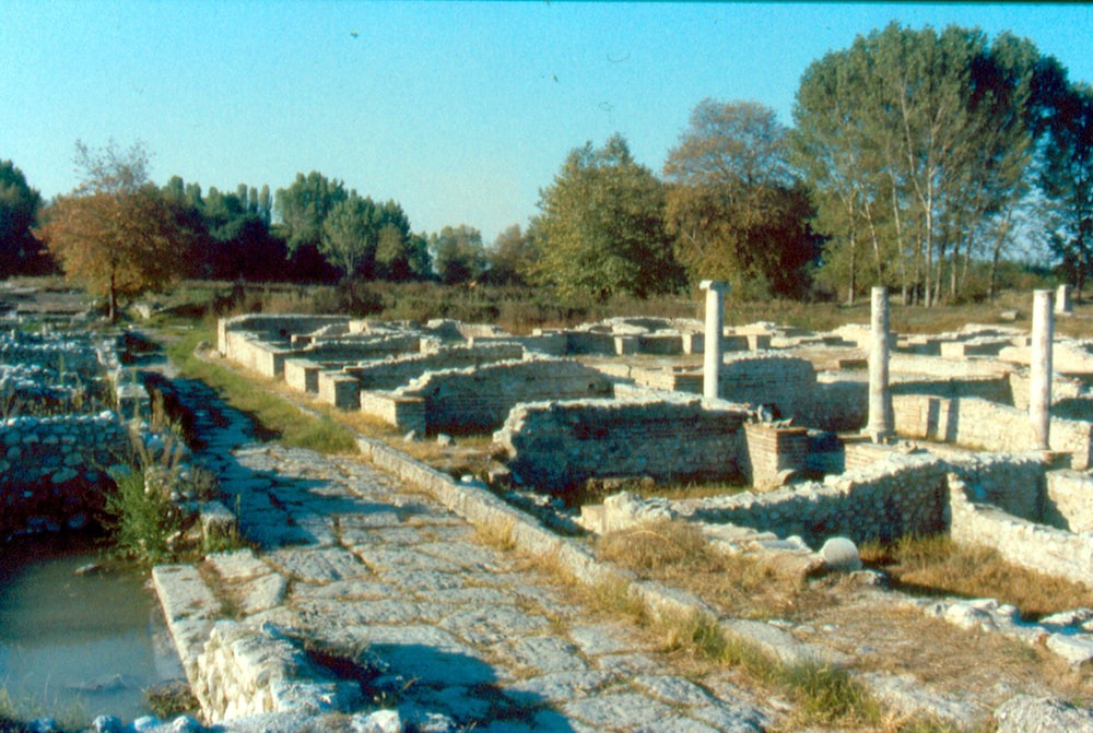 Photo of Others in Olymbiaki Akti