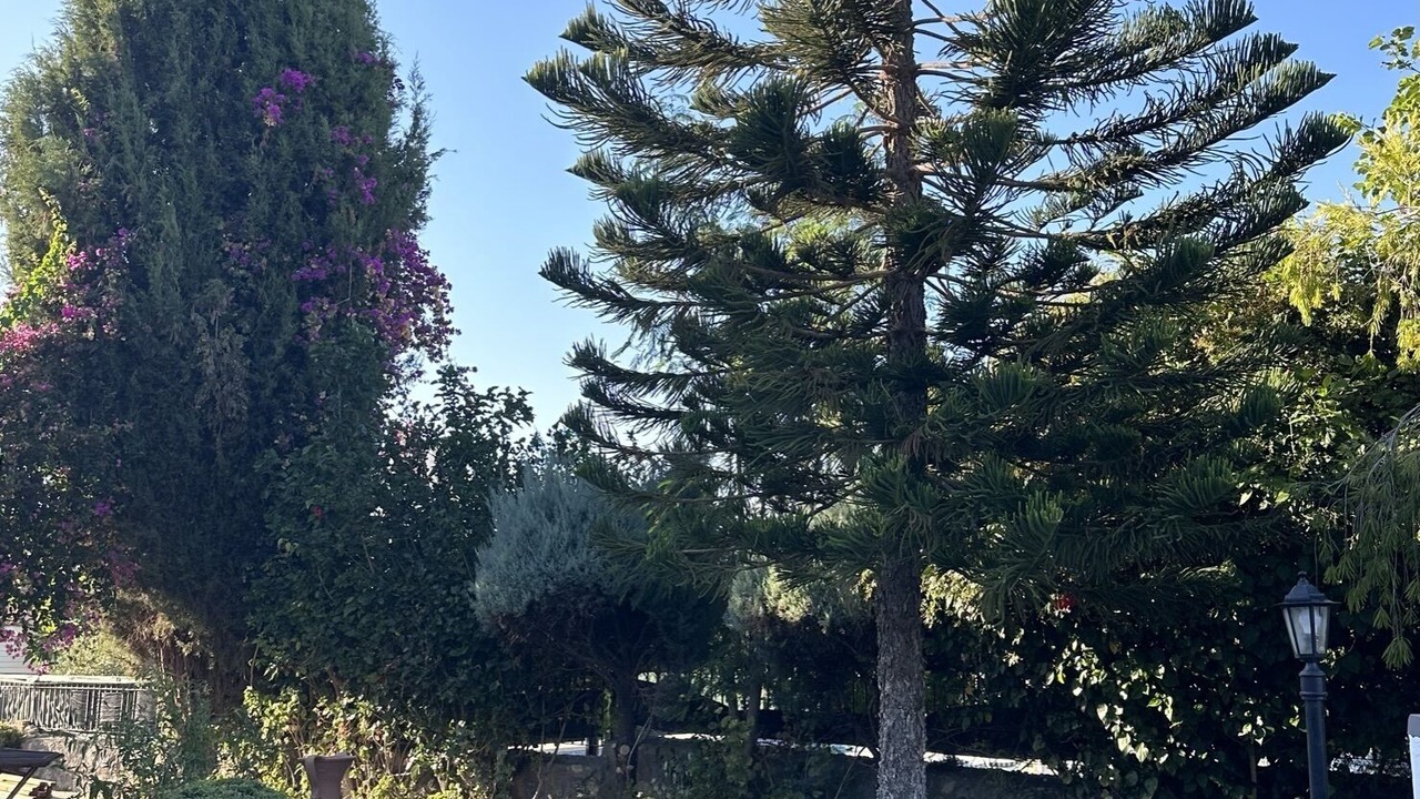Photo of Outdoor in Dogankoy