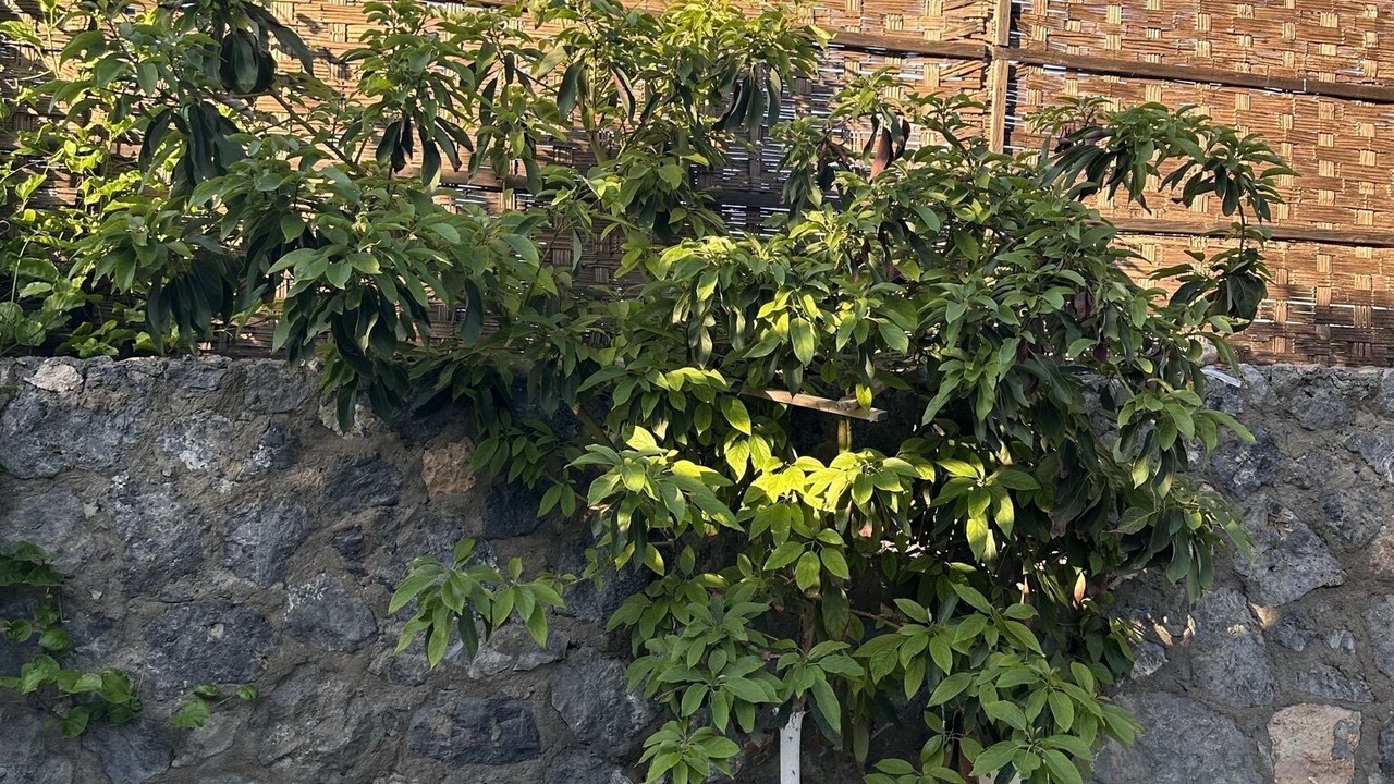 Photo of Outdoor in Dogankoy