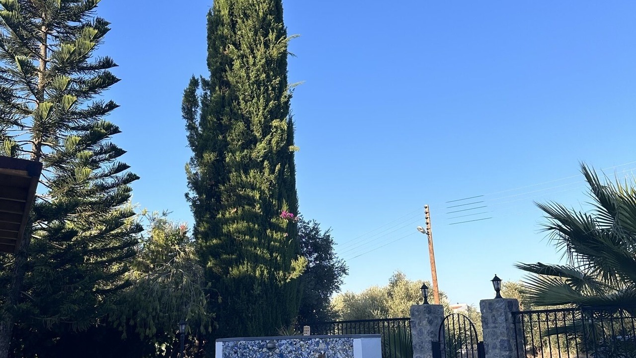 Photo of Outdoor in Dogankoy