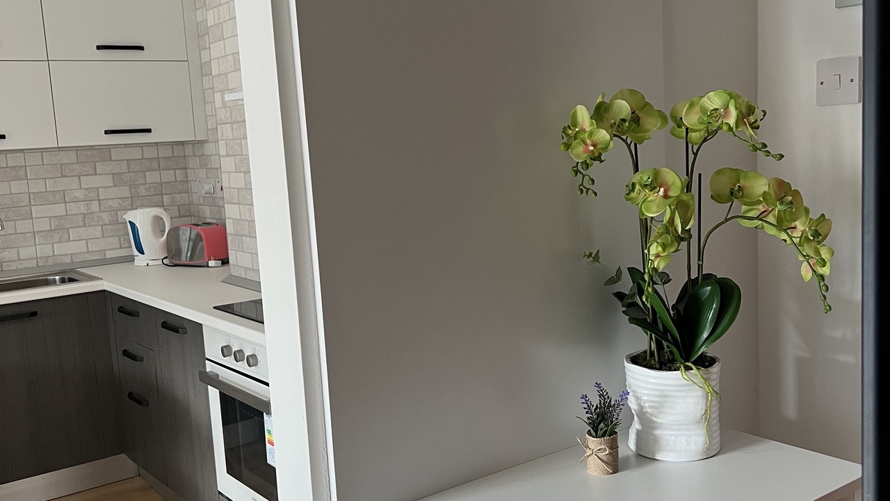 Photo of Kitchen in Dogankoy