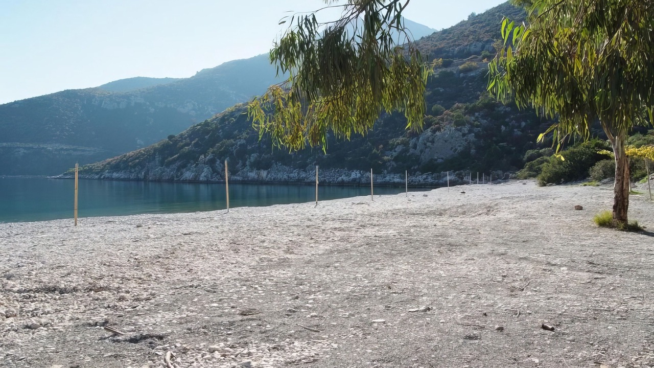 Photo of Others in Arkadiko Chorio