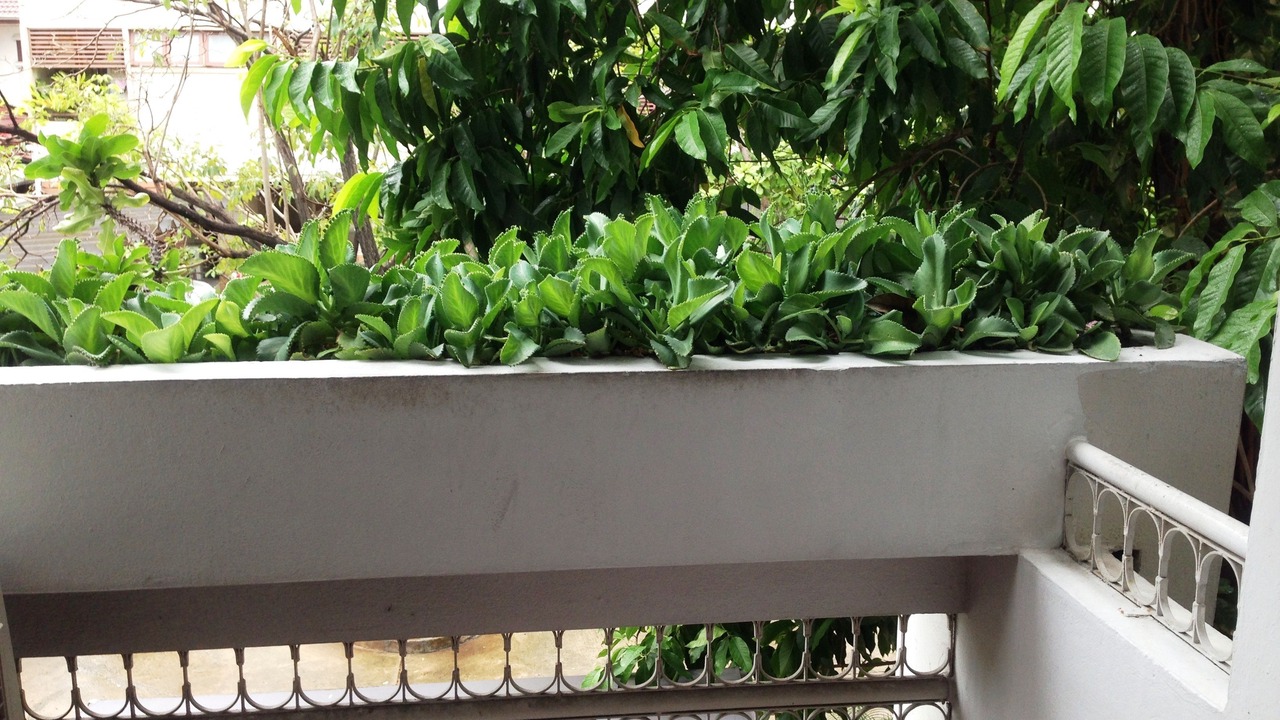 Photo of Patio Balcony in Ratchathewi