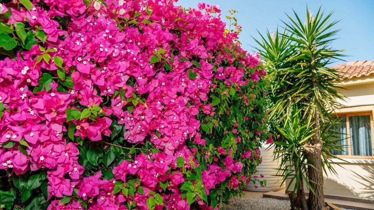 Photo of Outdoor in Karavas